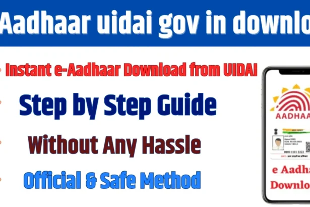 e-Aadhaar uidai gov in download